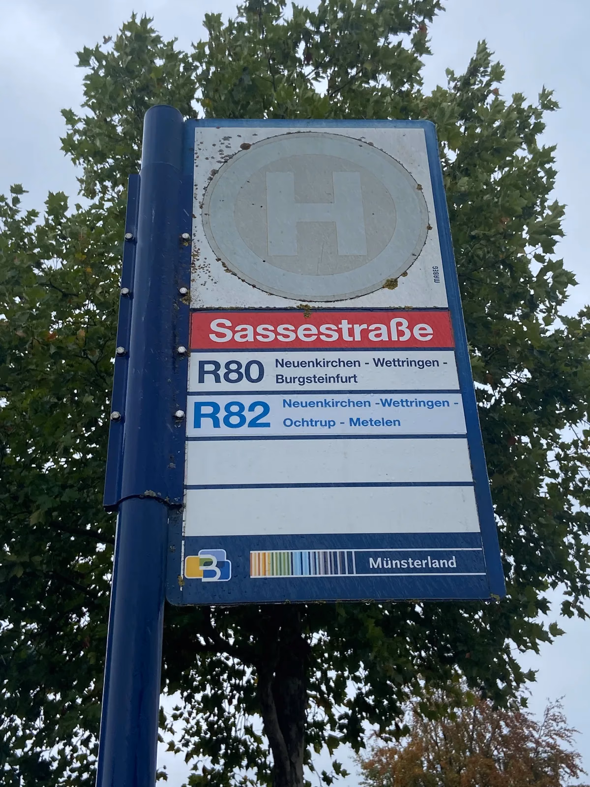 Haltestellenschild Sassestraße des Stadtbus Rheine mit den Regionallinien R80 und R82, wenige Schritte vom Kursort entfernt